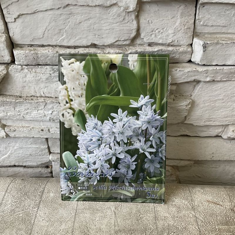 球根 | 橋本種苗園オンラインストア