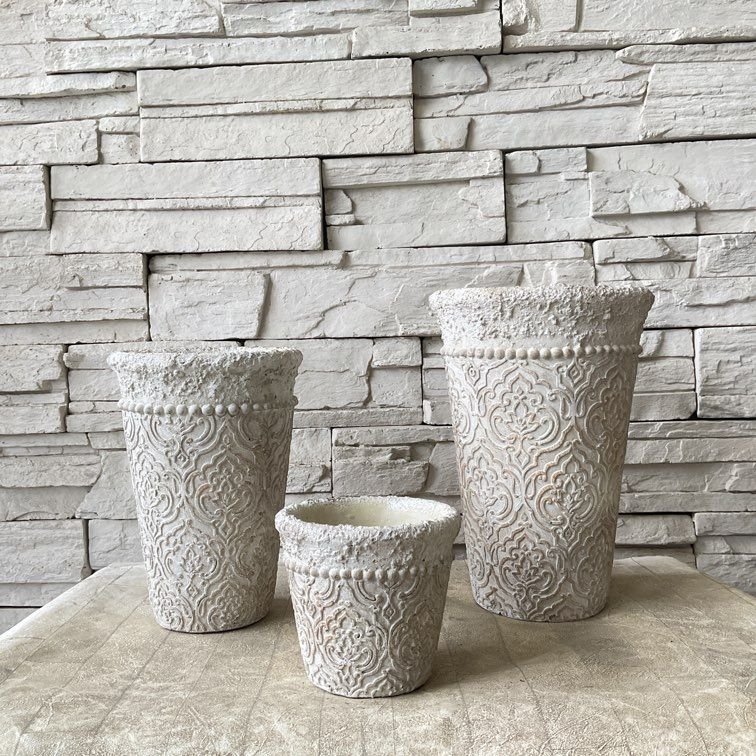 計10本セット苗 計10本セット苗 雑貨・鉢 | 橋本種苗園オンラインストア