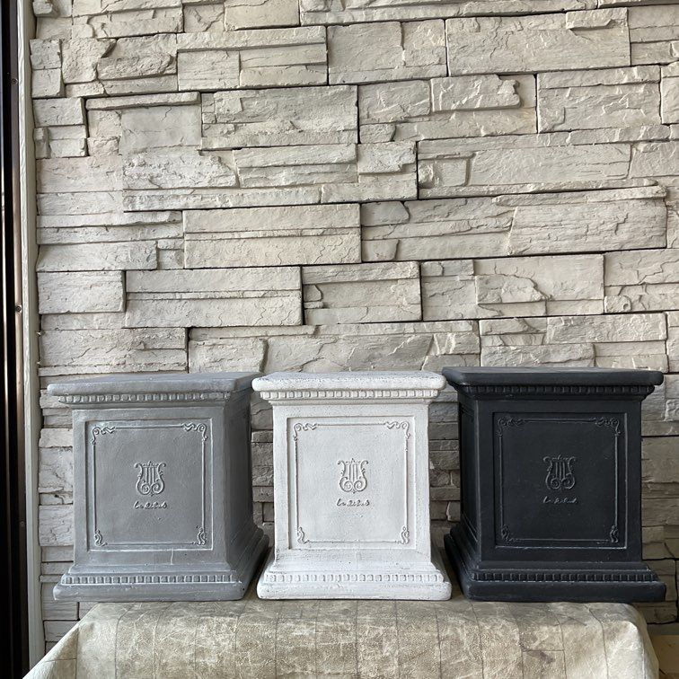 Fルデビュースタンド