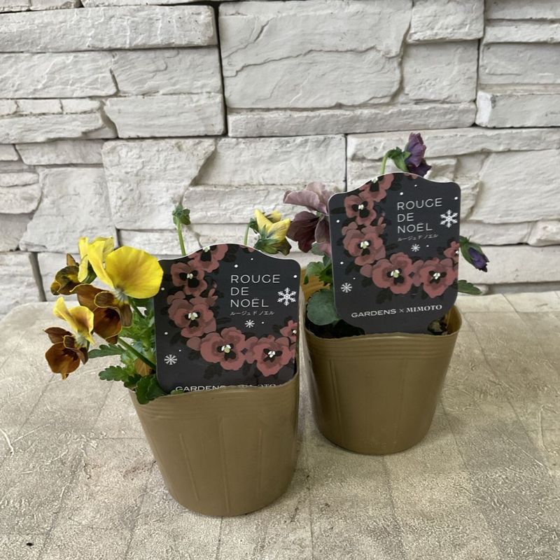 橋本種苗園オンラインストア |