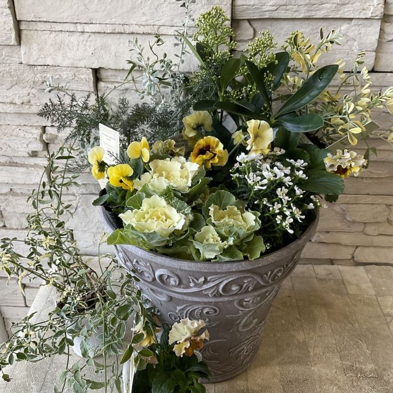 寄せ植え | 橋本種苗園オンラインストア