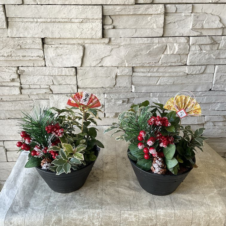 寄せ植え | 橋本種苗園オンラインストア