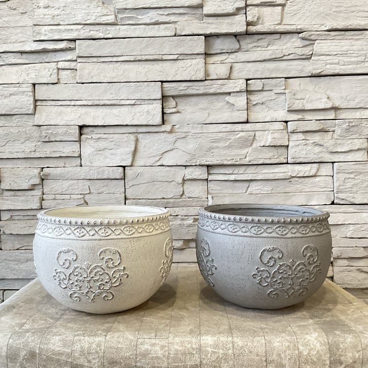 G*送様 リンゼアナセット❤️4センチポット 雑貨・鉢 | 橋本種苗園オンラインストア