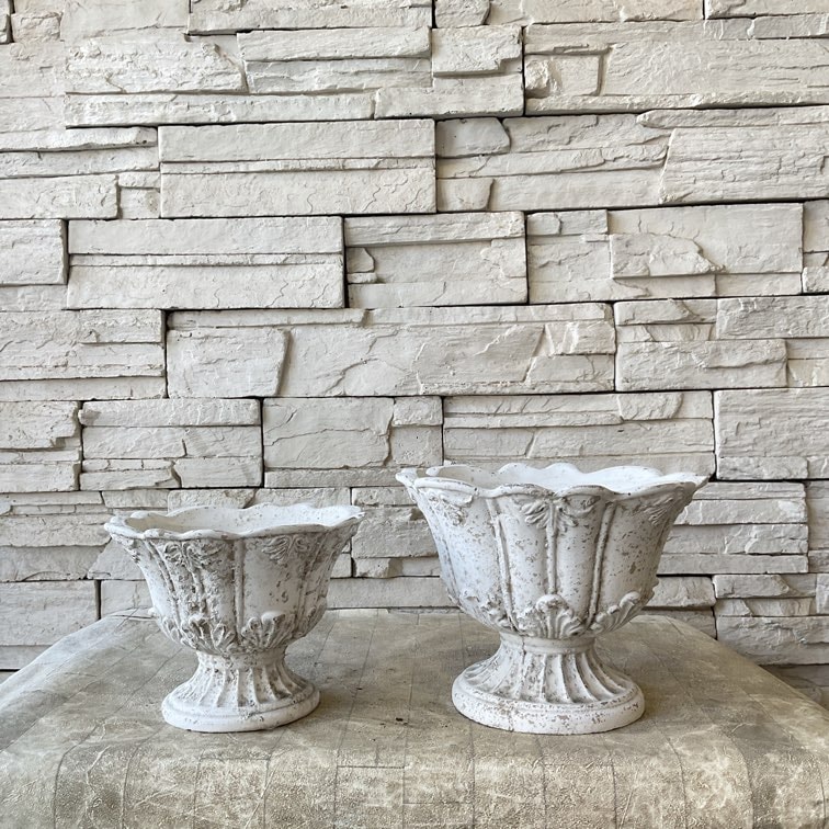 Bボタニクラウンドカップ