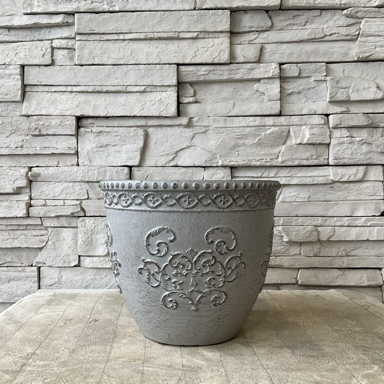 A【SALE】セルマンサークル　Lサイズ