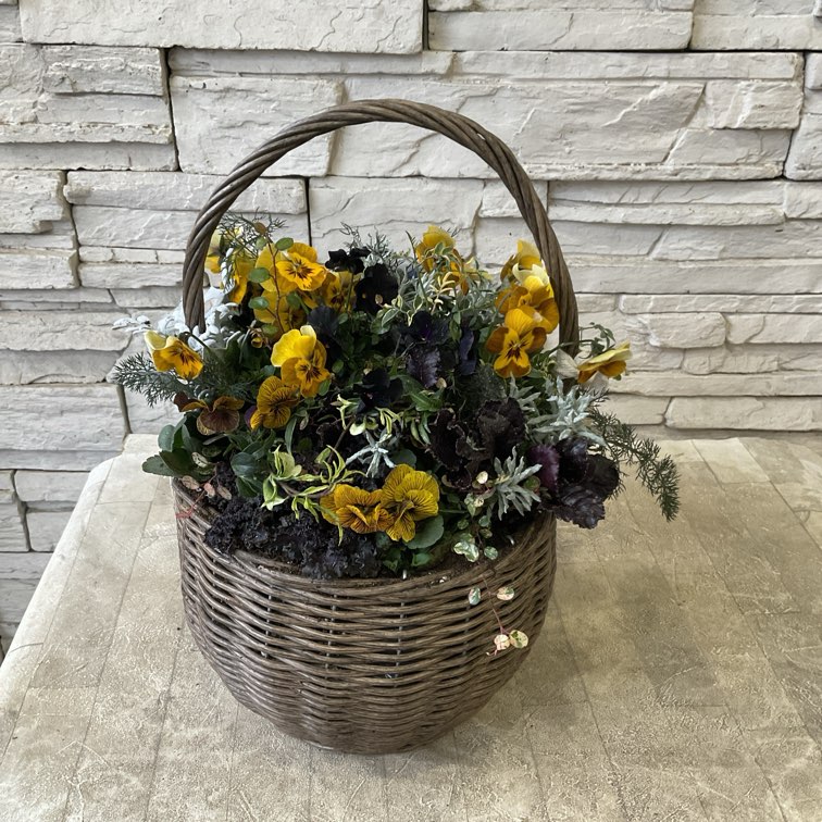 寄せ植え | 橋本種苗園オンラインストア