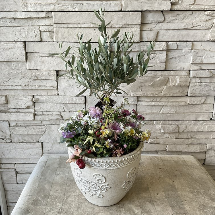 寄せ植え | 橋本種苗園オンラインストア