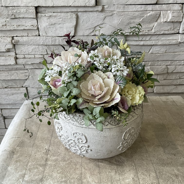 寄せ植え | 橋本種苗園オンラインストア