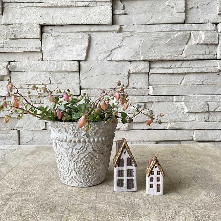 雑貨・鉢 | 橋本種苗園オンラインストア