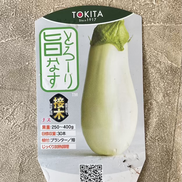 【野菜苗】接木苗　白ナス　とろーり旨なす　1ポット