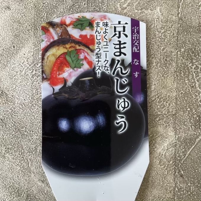 【野菜苗】接木苗　ナス　京まんじゅう　1ポット
