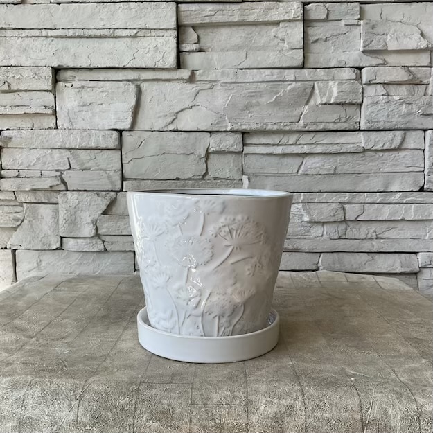 A【SALE】グラシエ53