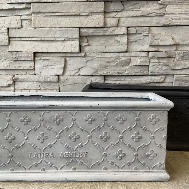 Vローラアシュレイ キューブプランター | 雑貨・鉢 | 橋本種苗園