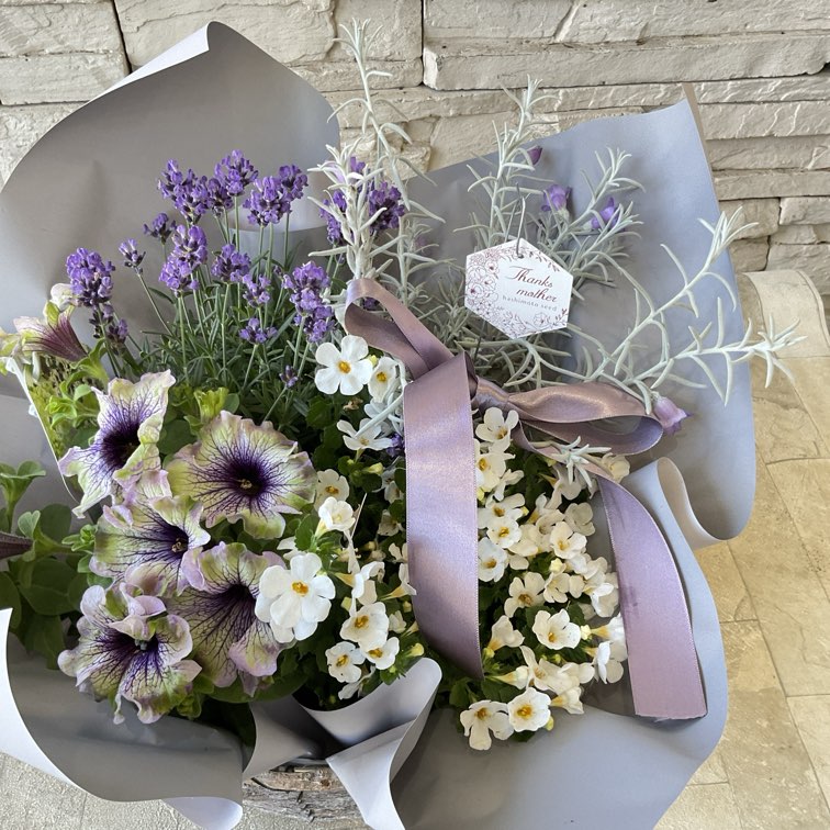 ラベンダー様 母の日におすすめ♪】ラベンダーとエレモフィラの寄せ鉢 | GIFT | 橋本