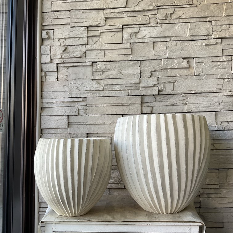 Rフォセボウル　選べる3色♪