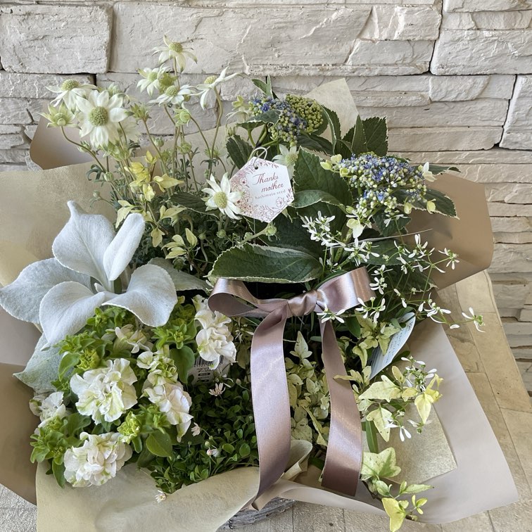 春の訪れ パールアカシアのハーフリース ピンクの紫陽花とともに 母の