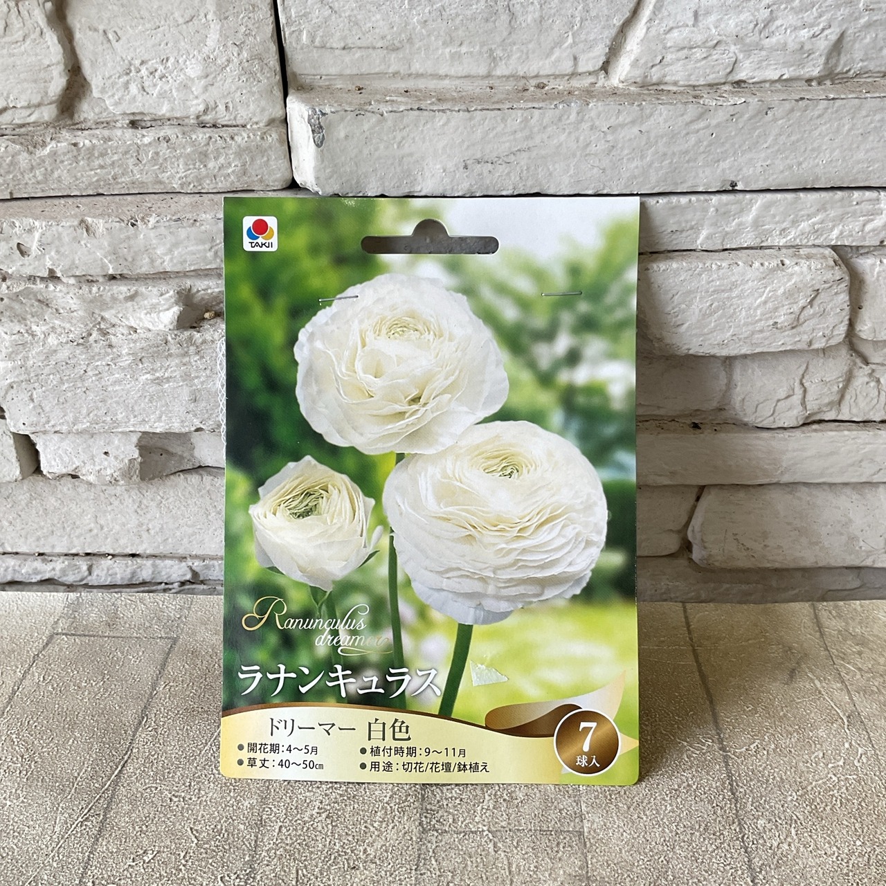 球根】ラナンキュラス 選べる♪6種類 | 球根 | 橋本種苗園