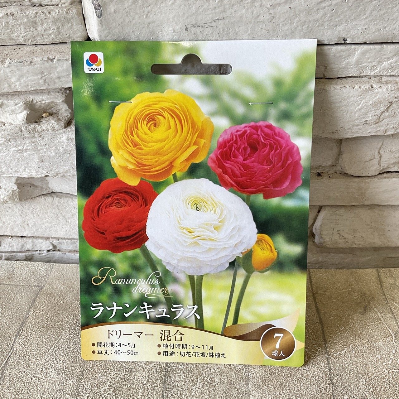 球根】ラナンキュラス 選べる♪6種類 | 球根 | 橋本種苗園オンラインストア
