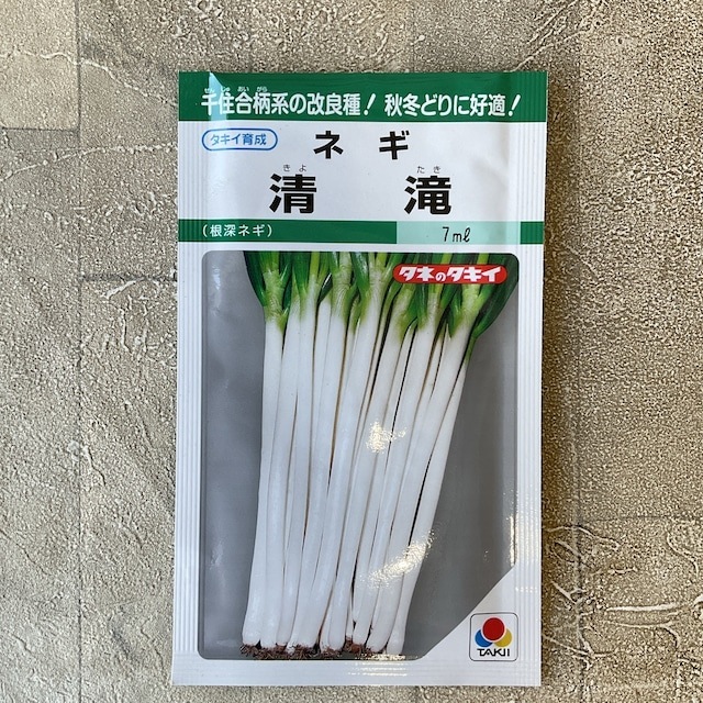 【野菜種子】ネギ　清滝　7ml
