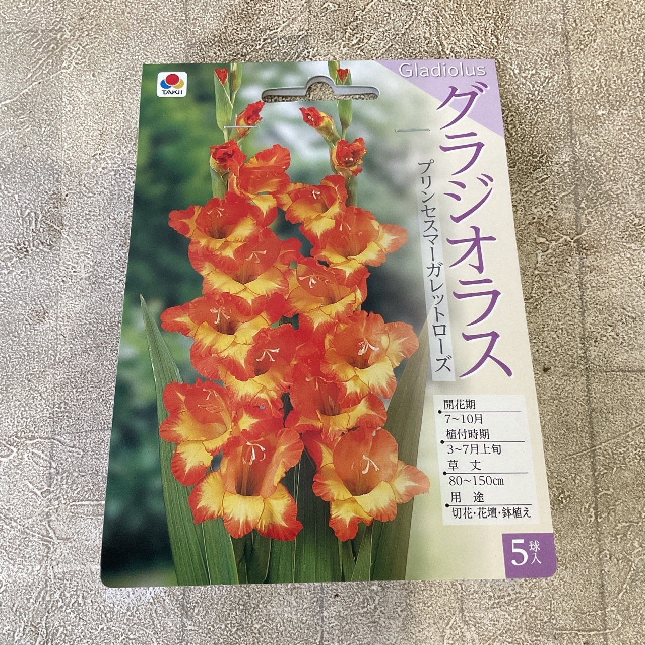 【球根】グラジオラス 5球　タキイ種苗