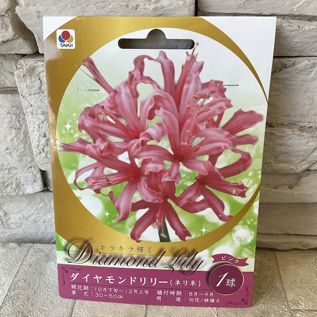 【見切品　植え付け時期を過ぎている】【球根】ダイヤモンドリリー　タキイのタネ　選べる♪5色