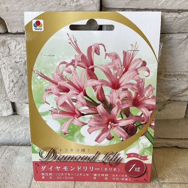 【見切品　植え付け時期を過ぎている】【球根】ダイヤモンドリリー　タキイのタネ　選べる♪5色