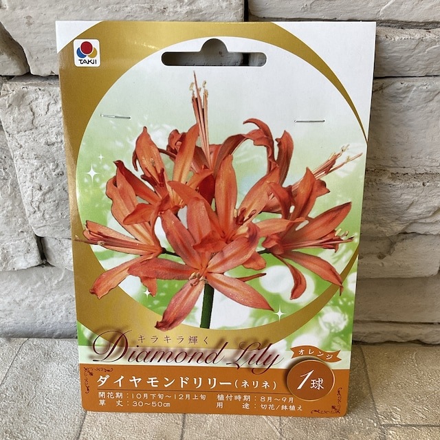 【見切品　植え付け時期を過ぎている】【球根】ダイヤモンドリリー　タキイのタネ　選べる♪5色