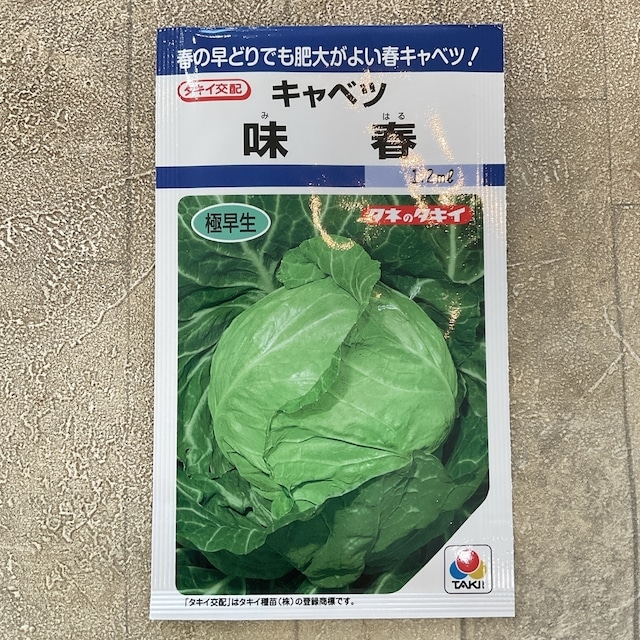【野菜種子】キャベツ　味春　1.2ml  極早生