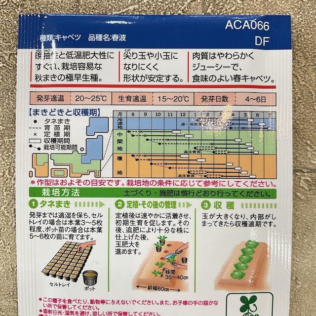 【野菜種子】キャベツ　春波　1.2ml  極早生