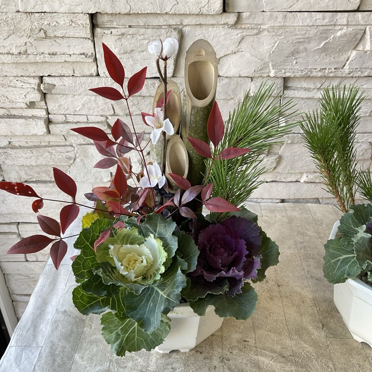 門松 6寸鉢 | 寄せ植え | 橋本種苗園オンラインストア