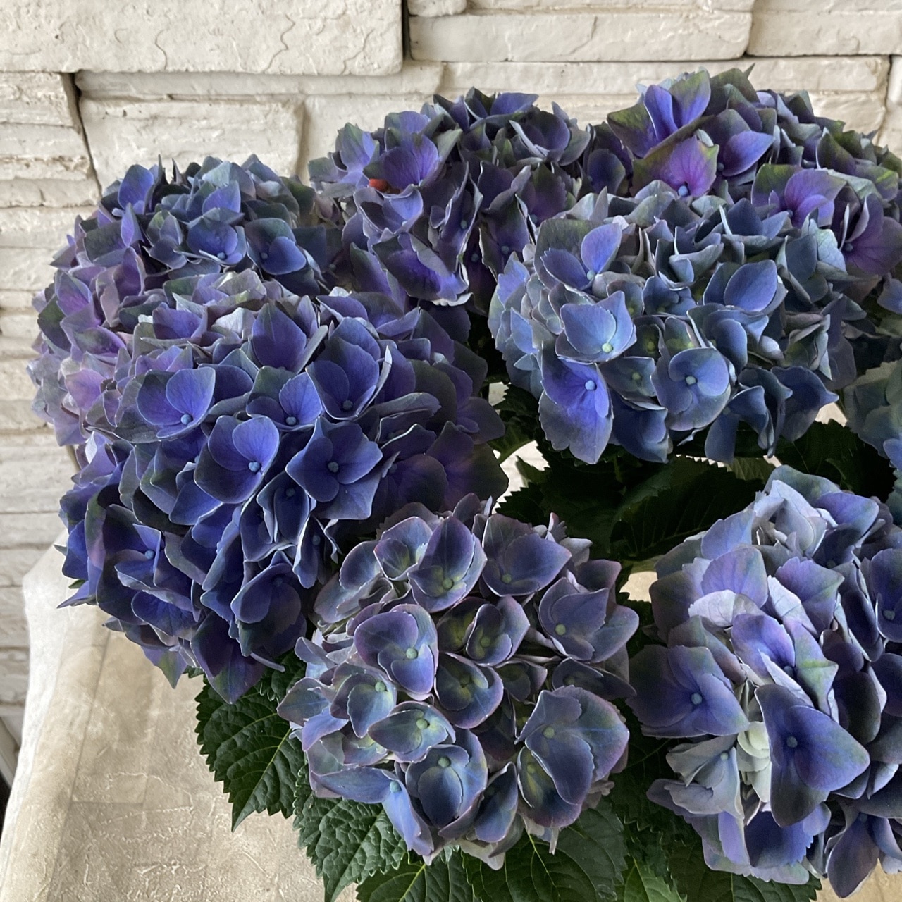 母の日ギフト】【ラッピング・化粧箱付き】紫陽花