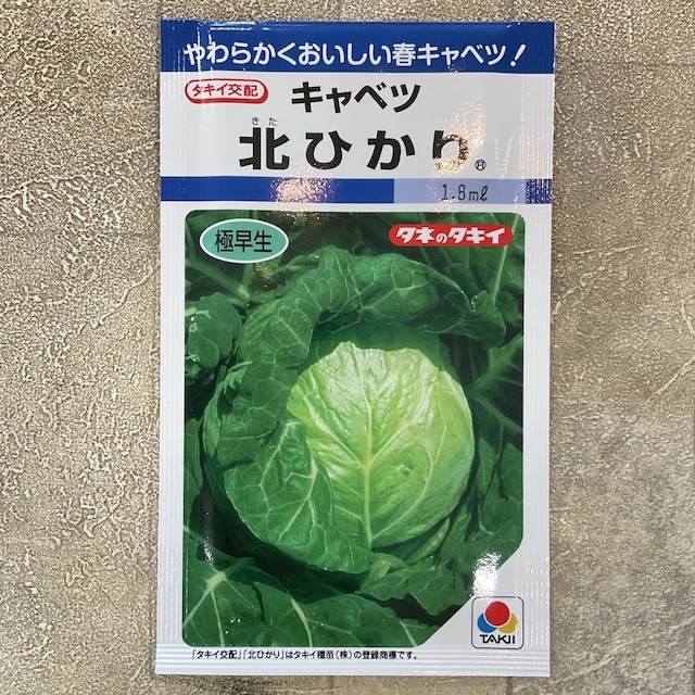 【野菜種子】キャベツ　北ひかり　1.8ml  極早生