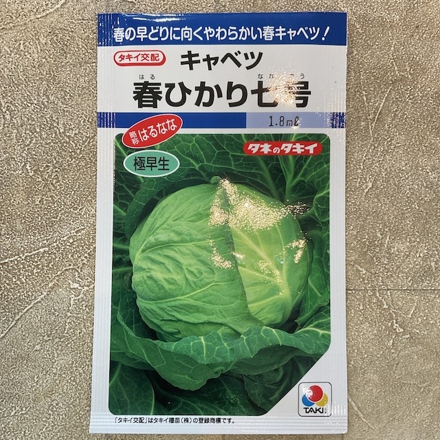 【野菜種子】キャベツ　春ひかり七号　1.8ml  極早生
