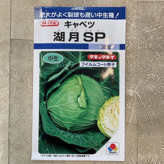 【野菜種子】キャベツ　湖月SP　180粒  中生