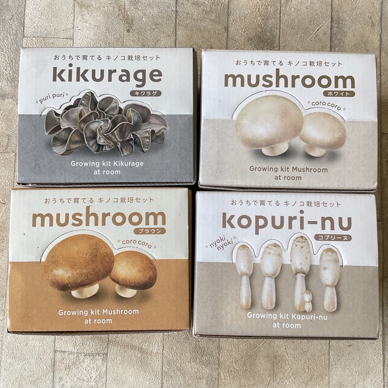 おうちで育てるキノコ栽培セット