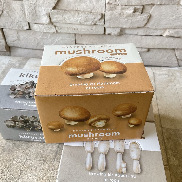 おうちで育てるキノコ栽培セット