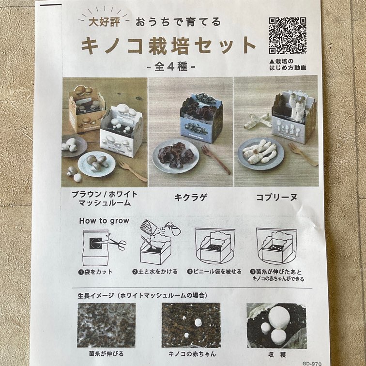 おうちで育てるキノコ栽培セット