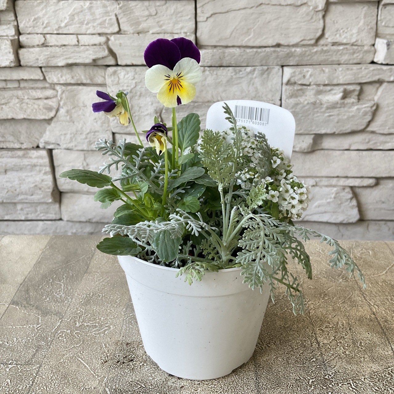 （14）ハーバリウム  春色  ビオラ ＊ショート＊ 14）ハーバリウム 春色 ビオラ ＊ショート＊ 14）ハーバリウム 春色