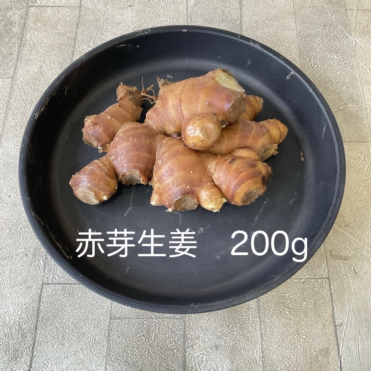 【種子用】赤芽生姜　100g（量り売り）