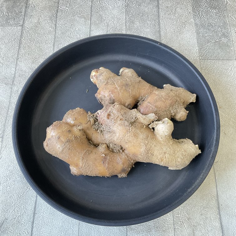 【種子用】生姜　100g（量り売り）