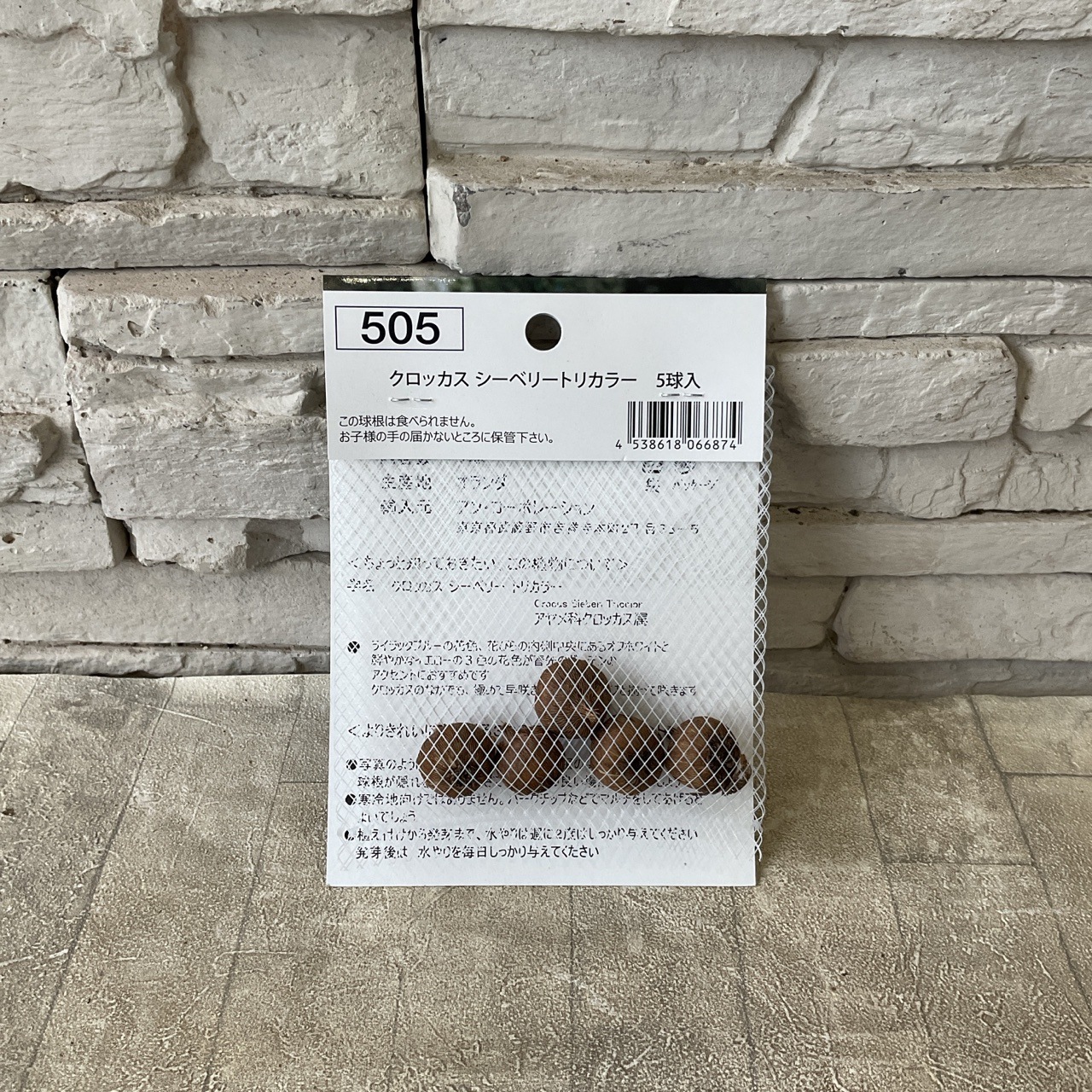 クロッカス　シーベリートリカラー 5球入り