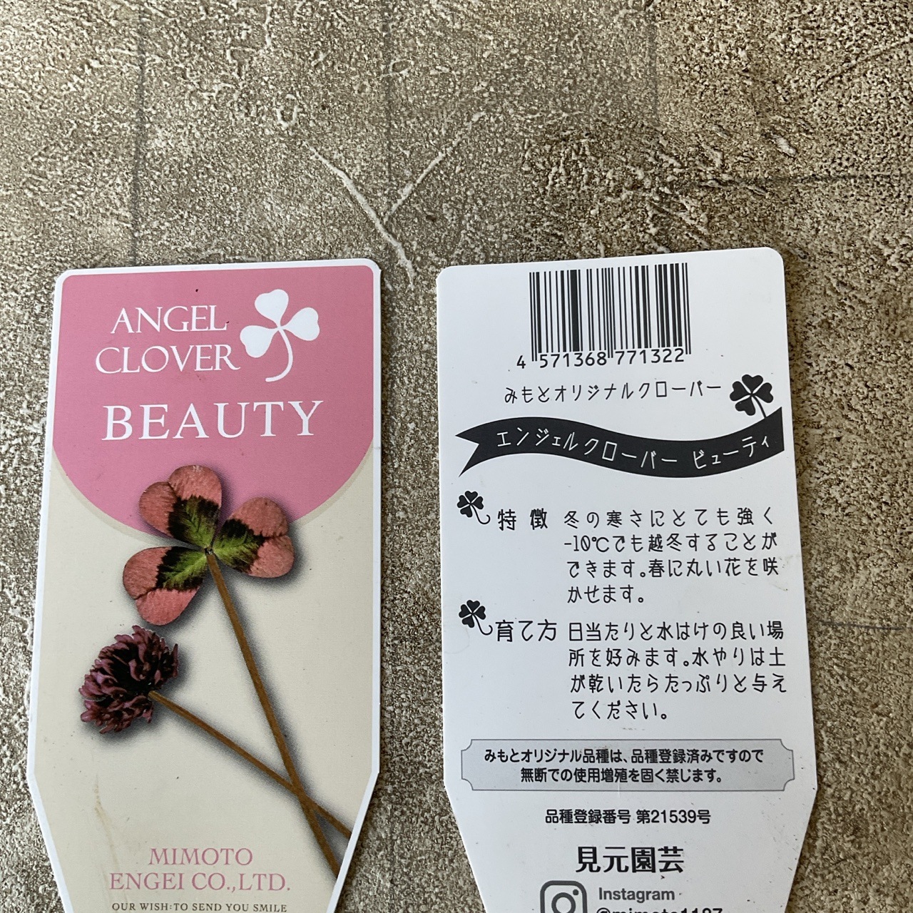 見元園芸 エンジェルクローバー 選べる♪3種 3寸ポット | 鉢花・花苗