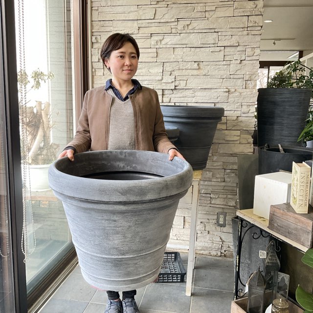 新品 狂鉢 ボルドー