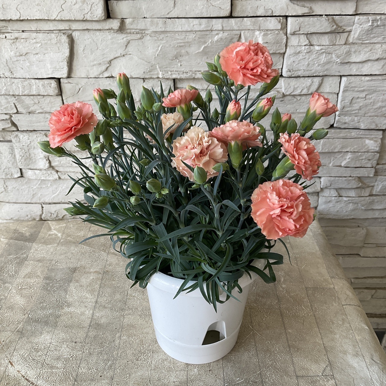 母の日ギフト】【ラッピング・化粧箱付き】母の日ギフト