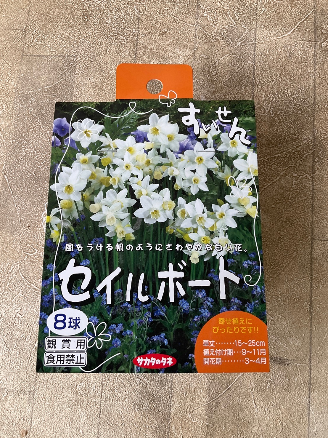 【球根】寄せ植えすいせん　選べる2種