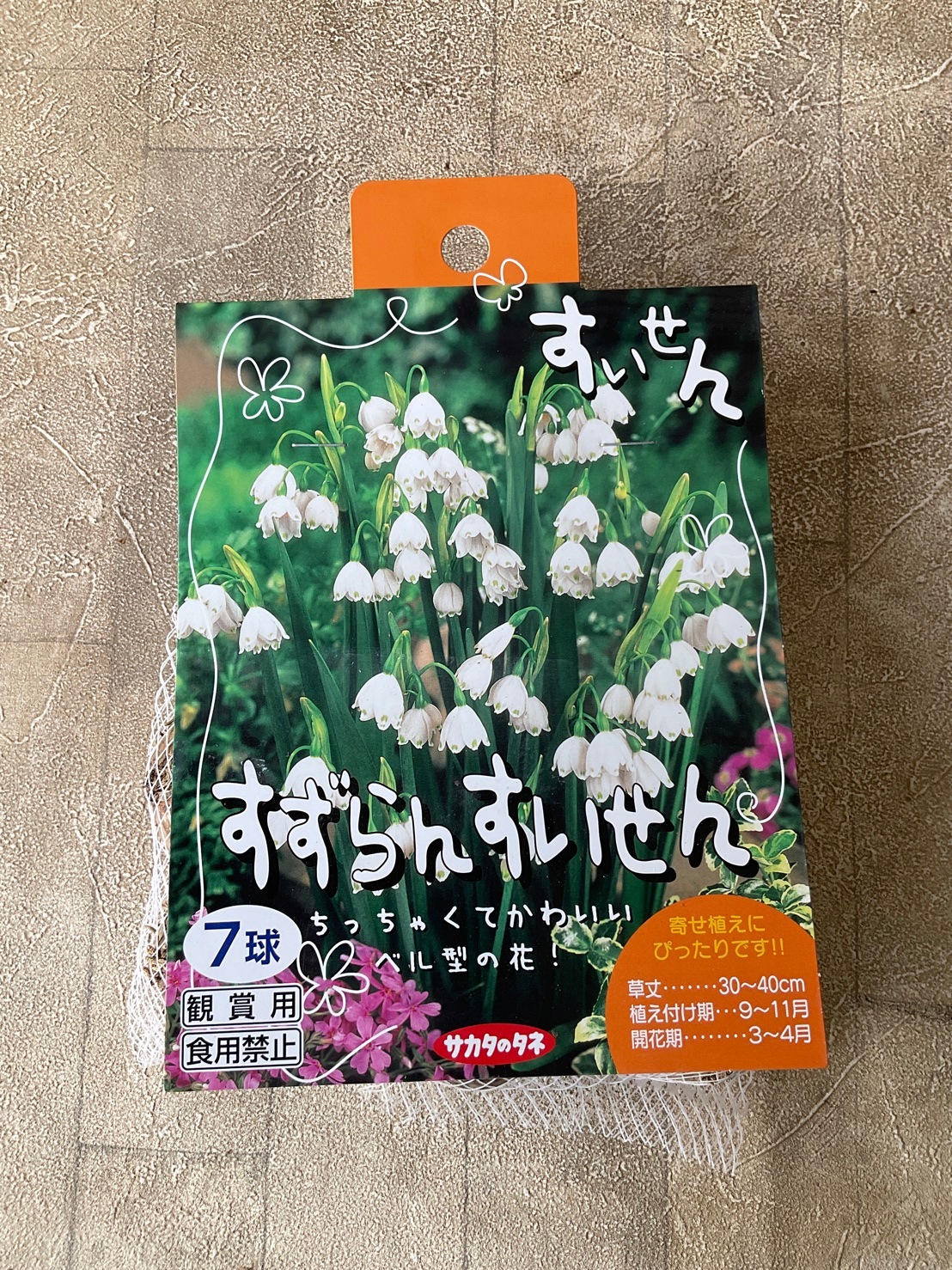 【球根】寄せ植えすいせん　選べる2種