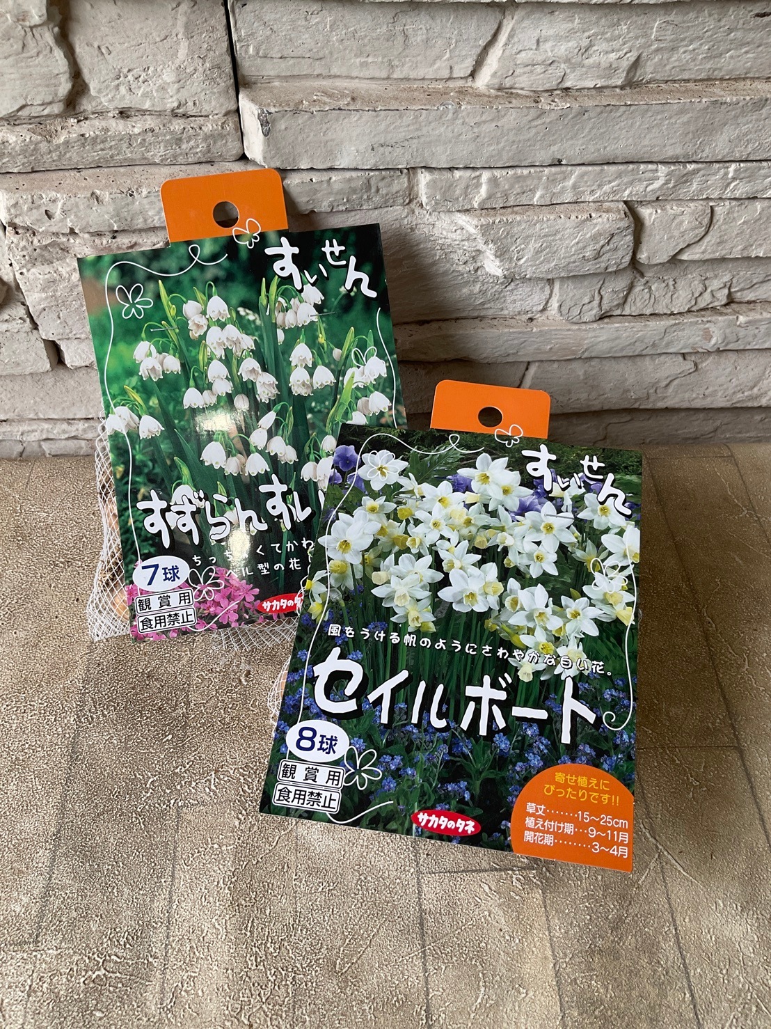 球根】寄せ植えすいせん 選べる2種 | 球根 | 橋本種苗園オンラインストア