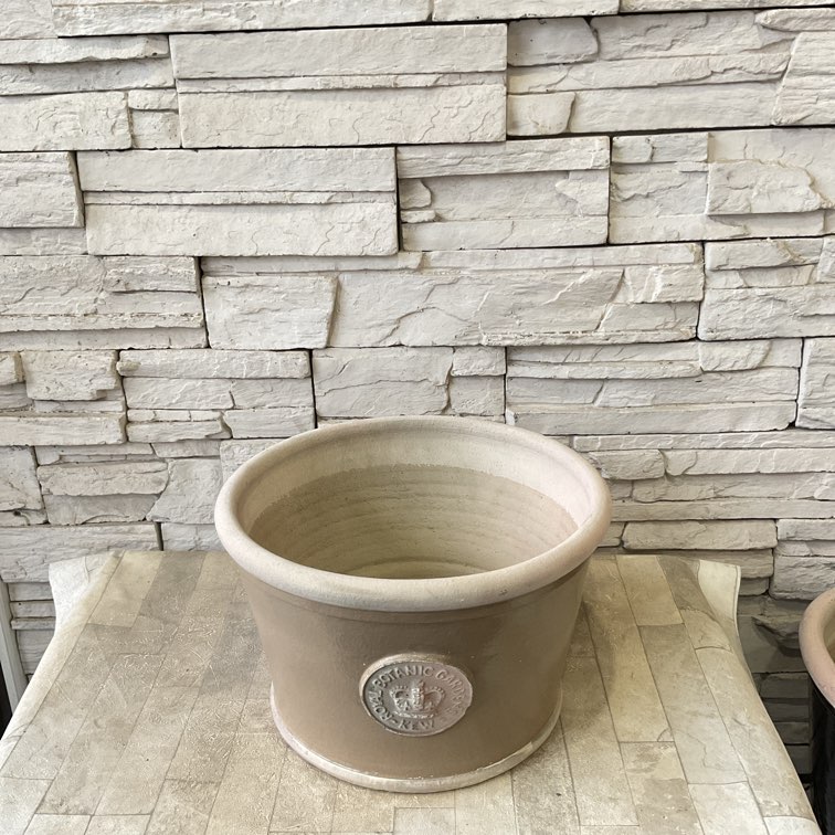 V Kew Garden アザレアキューポット | 雑貨・鉢 | 橋本種苗園