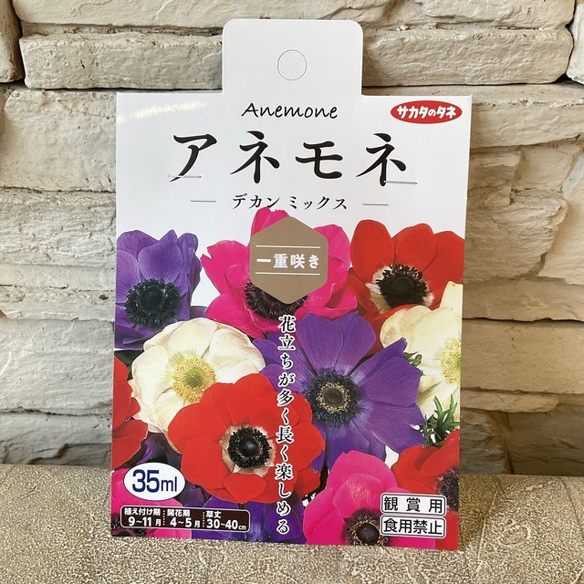 球根】アネモネ 選べる2種 | 球根 | 橋本種苗園オンラインストア