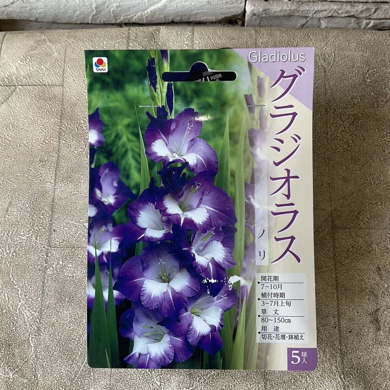 【球根】グラジオラス 白紫色 5球　タキイ種苗